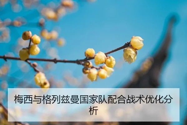 mei-xi-yu-ge-lie-zi-man-guo-jia-dui-pei-he-zhan-shu-you-hua-fen-xi-2-584.jpg